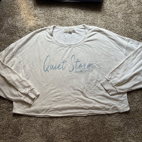 Quiet Storm Cropped Sweatshirt - Picture 2 of 4